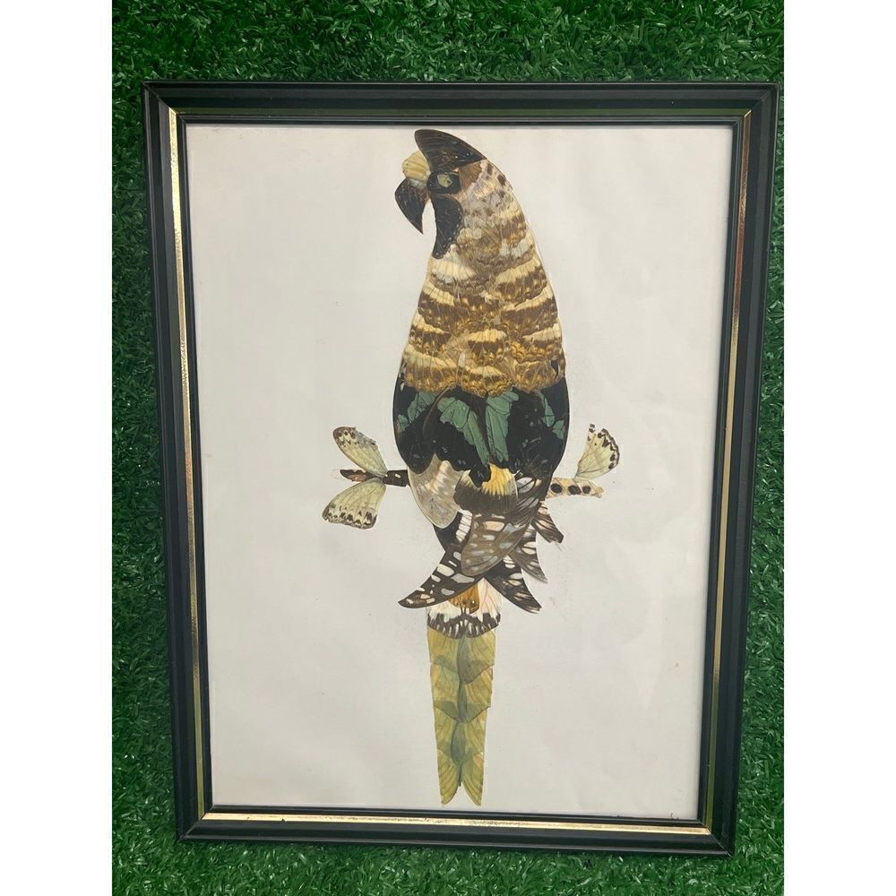 Vtg 70s Authentic Butterfly Wing Art Tropical Bird Parrot